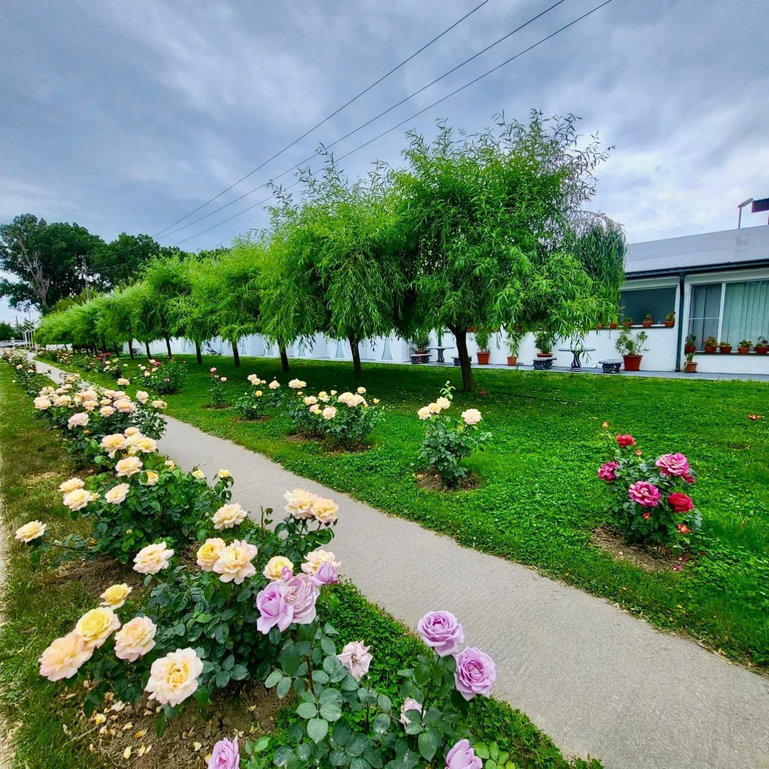Royal Park Complex Hotel Bascov Luaran gambar
